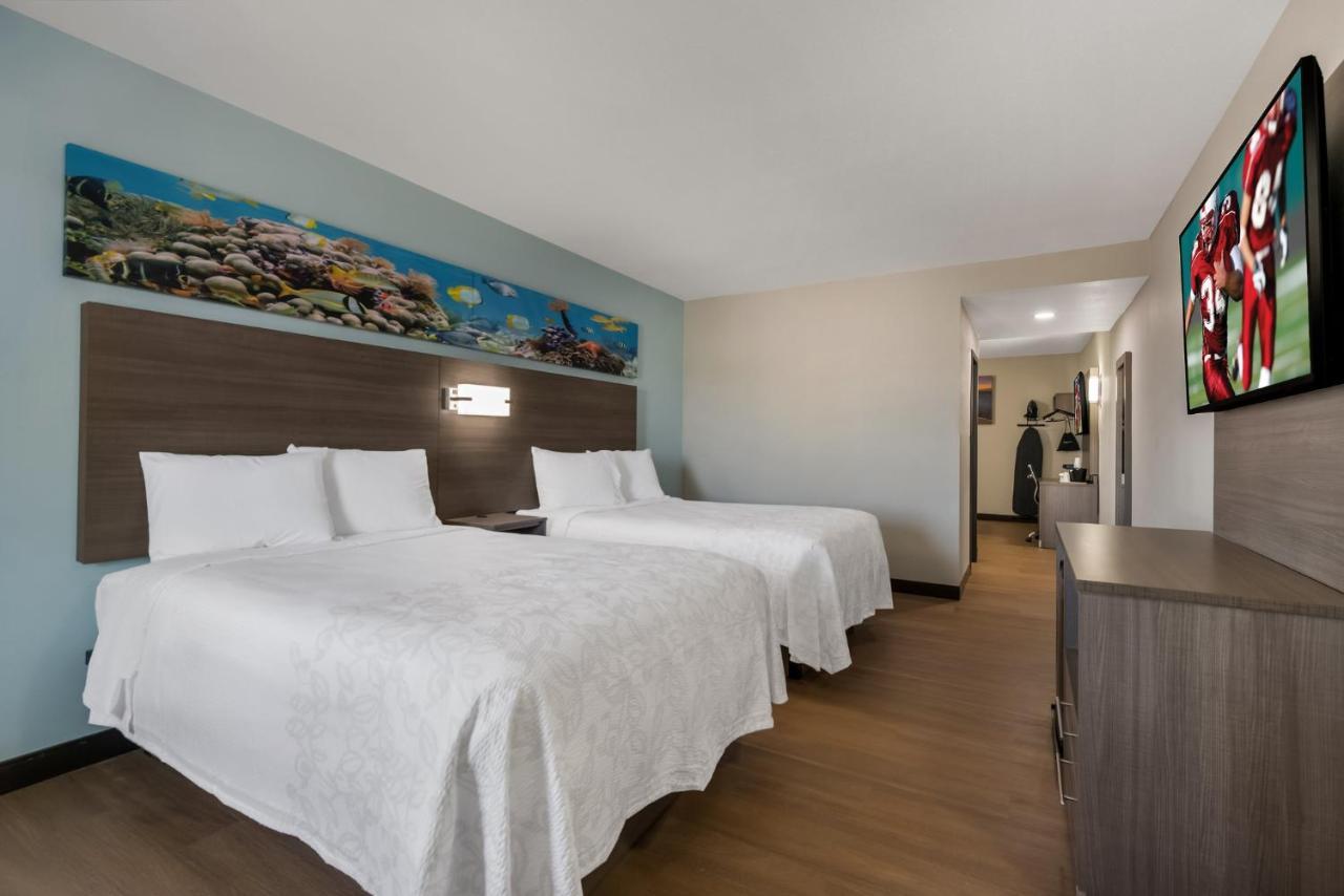Suite Two Double Beds Smoke