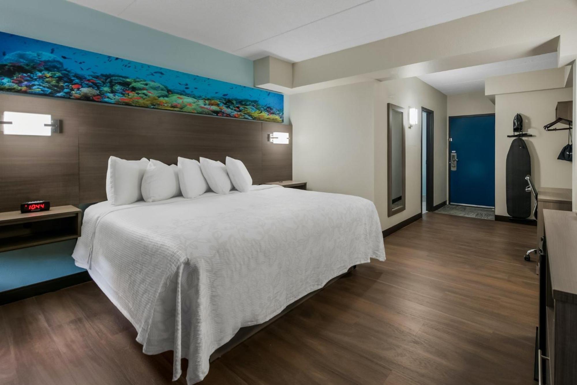 Premium King Room Disability Access Roll Shower Partial Ocean View Smoke