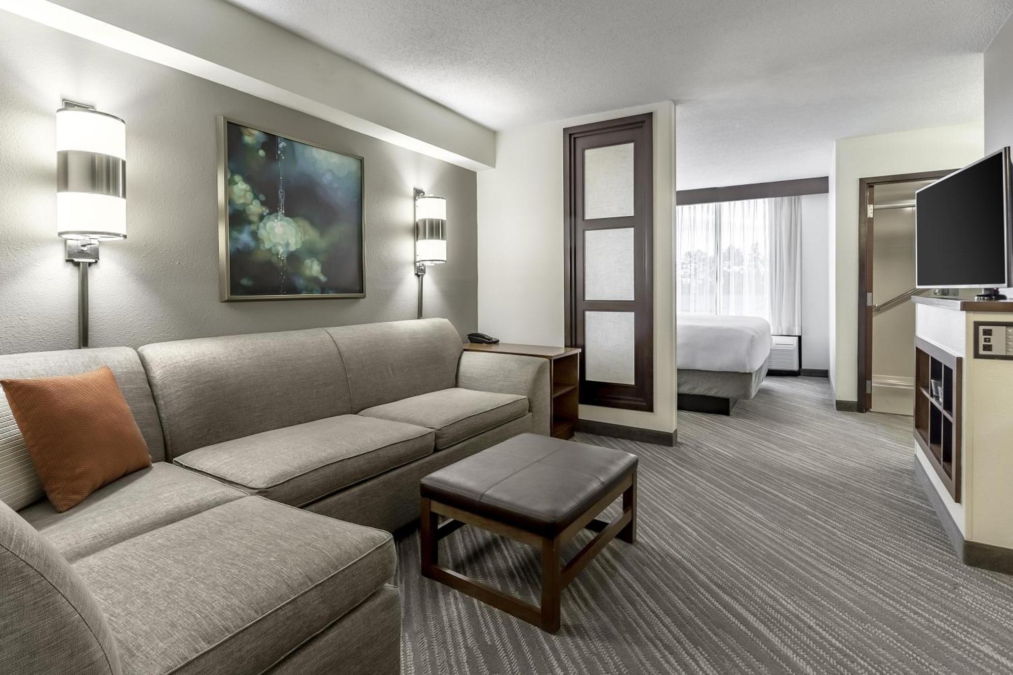 King Room Sofa Bed